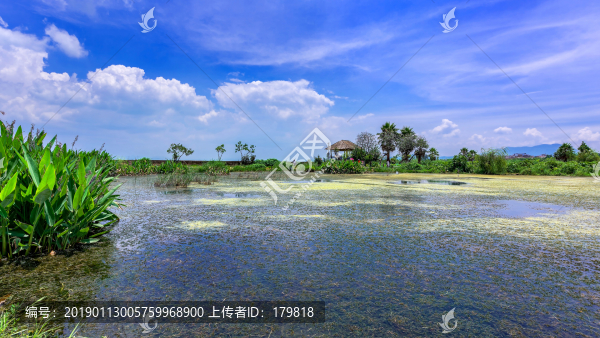 海東濕地