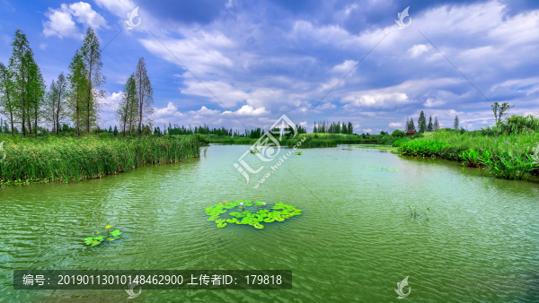 海東濕地