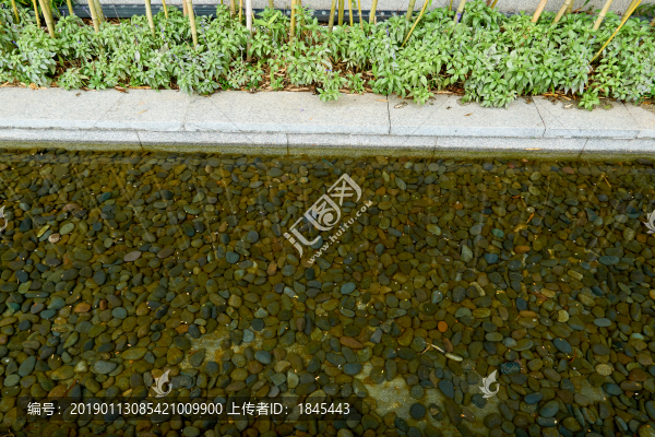 園林水池