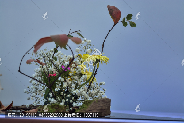 精美花卉插花藝術(shù)