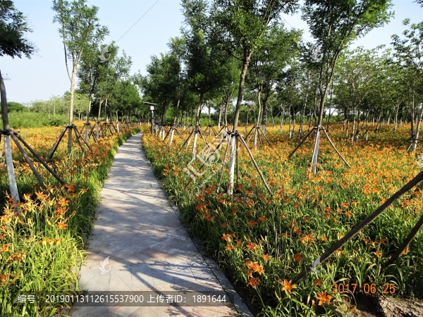 公園小路