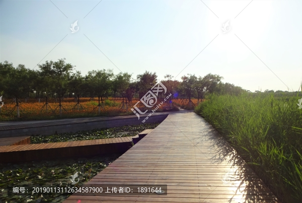 七里海自然保護區(qū)