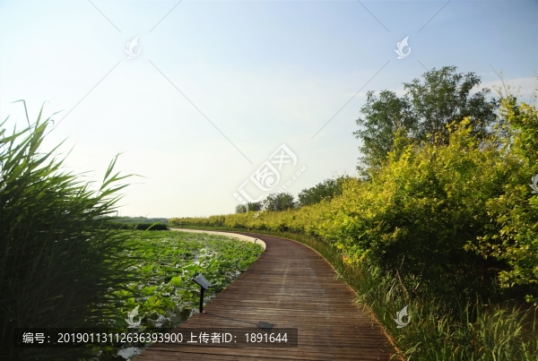 七里海自然保護(hù)區(qū)