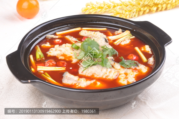 紅湯鯰魚