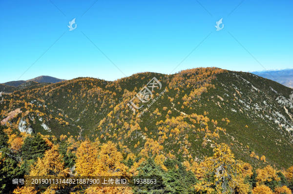 山脈秋色