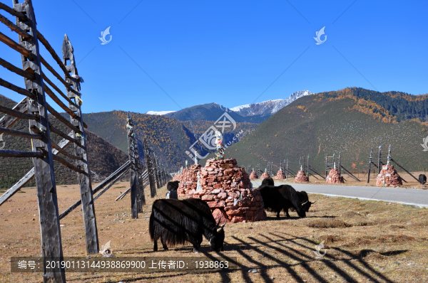 石卡山麓
