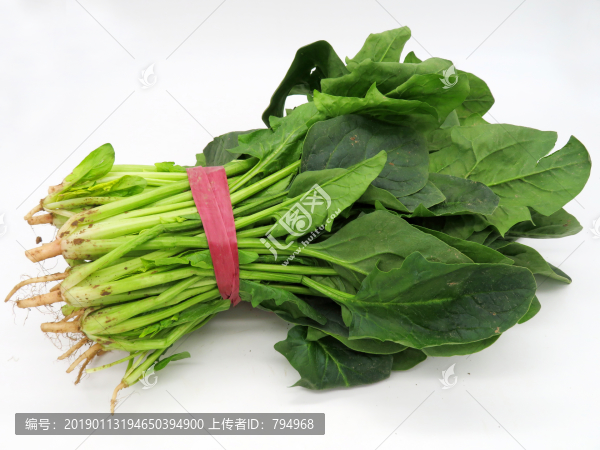 菠菜