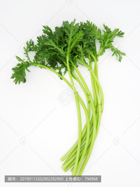 茼蒿