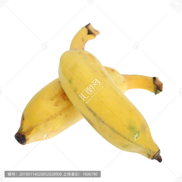 米蕉香蕉粉蕉