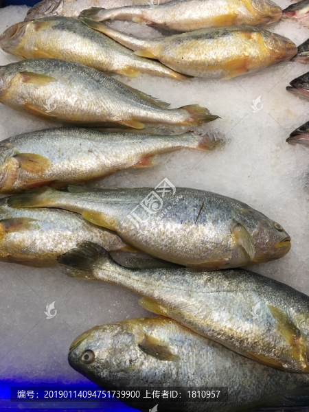 海鮮水產(chǎn)