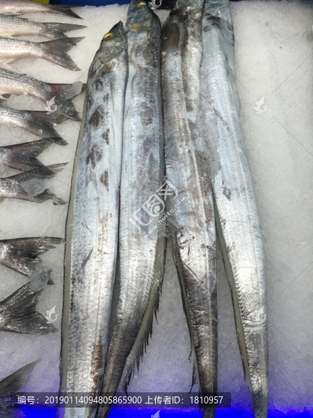 海鮮水產(chǎn)