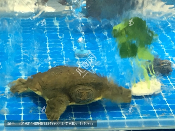 海鮮水產(chǎn)