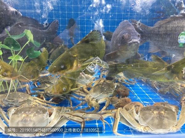 海鮮水產