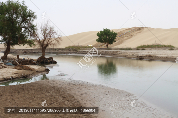 塔里木河