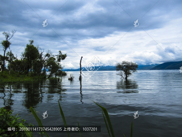 洱海