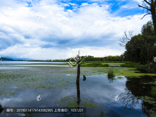 洱海美景