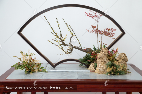 梅花盆景