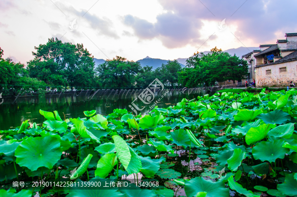 宏村