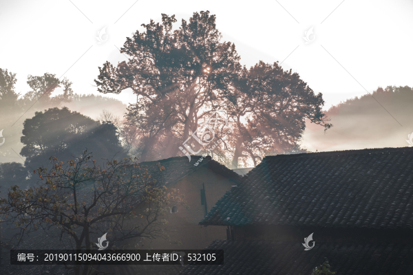 晨霧繚繞全景圖