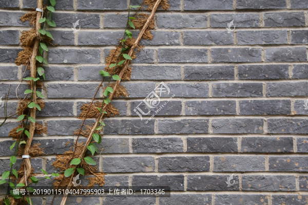 磚墻背景素材