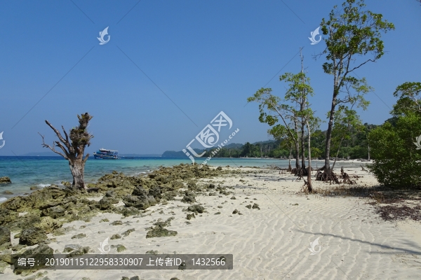 海灘風(fēng)光
