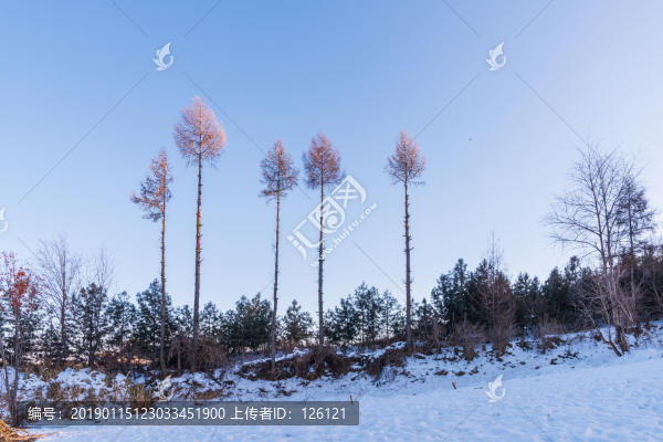 松嶺雪村