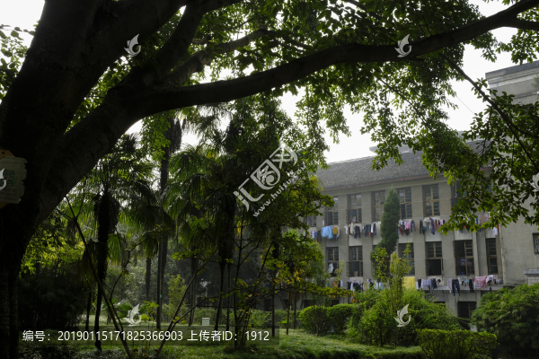 美麗校園