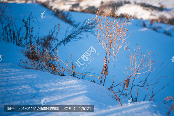 松嶺雪村