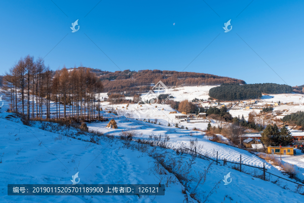 松嶺雪村