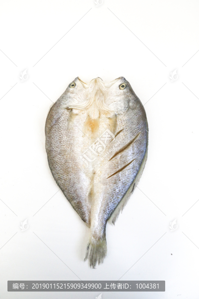 黃魚干