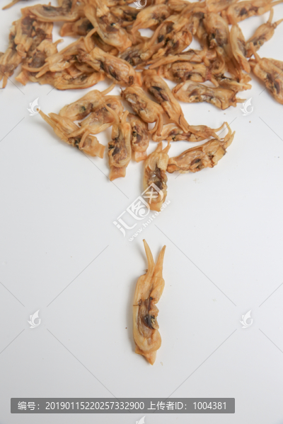 蟶子干