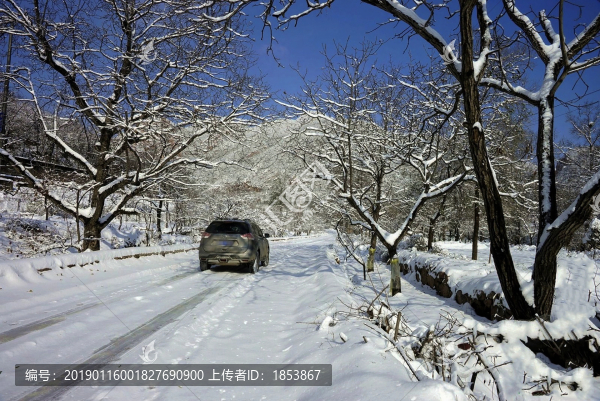 道路