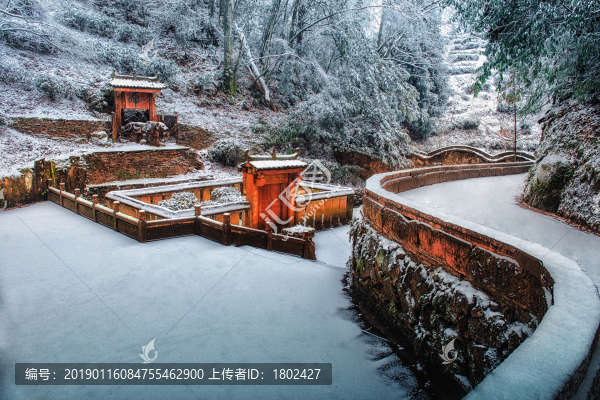 蒙頂山皇茶園