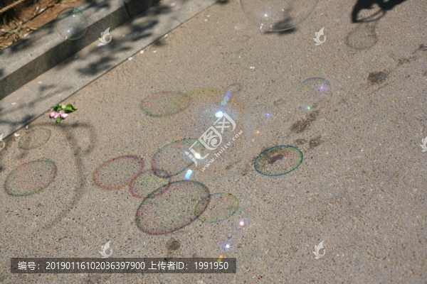 泡泡