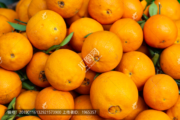 橙子