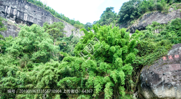 武夷山風(fēng)光