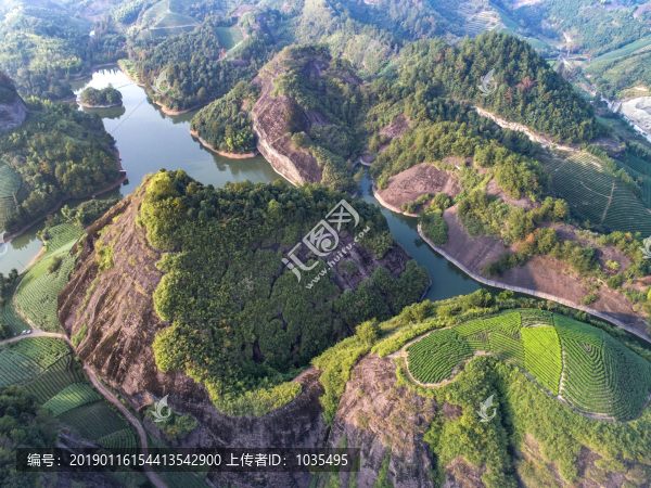 山區(qū)茶園
