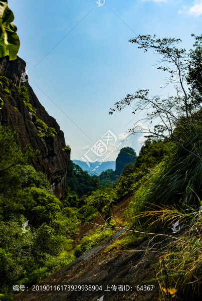 風景畫