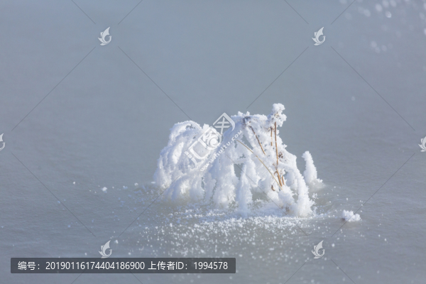 霧凇