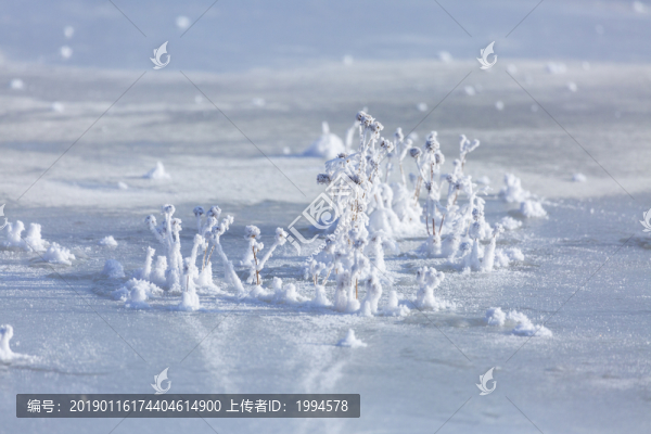霧凇