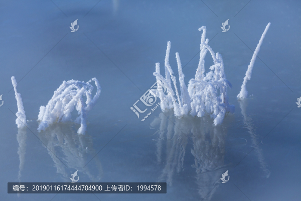 霧凇
