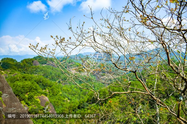 風(fēng)景畫