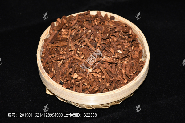 野生蒲公英茶