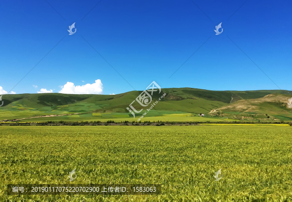 青海風(fēng)光