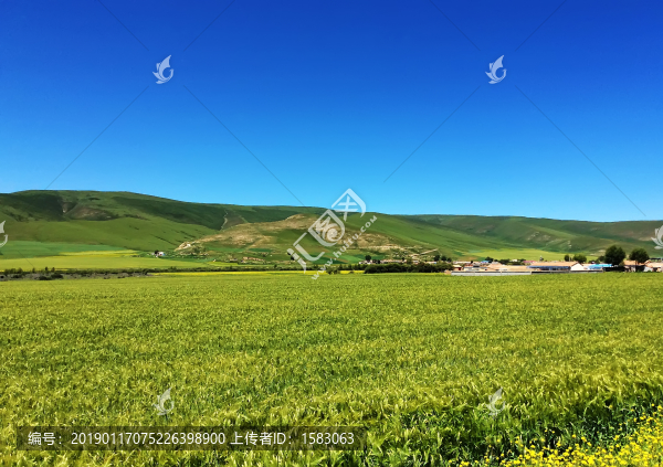 青海風(fēng)光