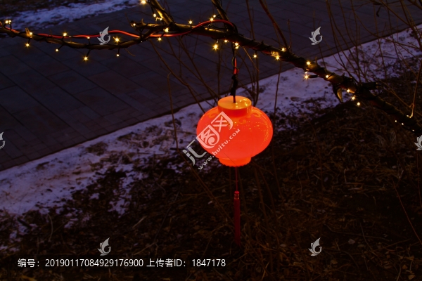 紅燈籠