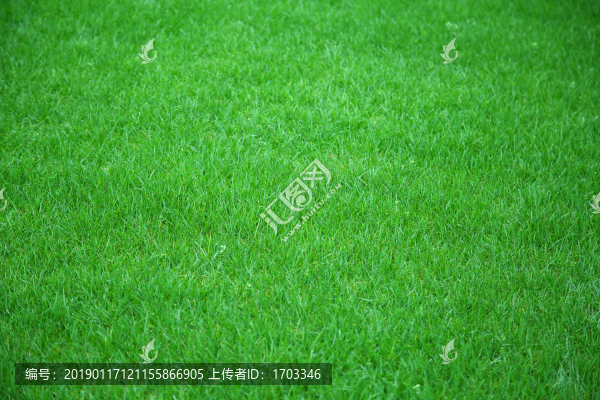 綠草坪背景素材