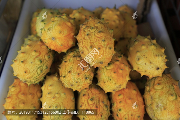 刺角瓜火參果火星果