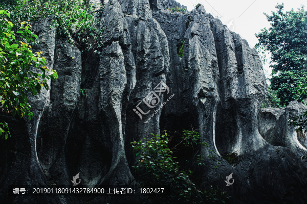 興文石海修女祈禱
