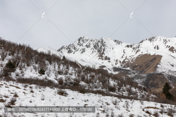 鷓鴣山